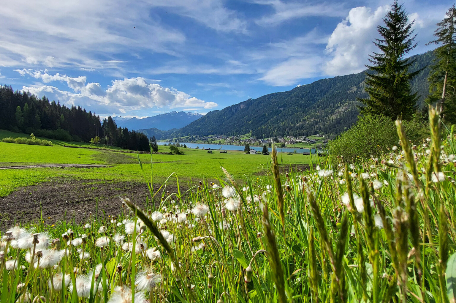 Urlaub Im Seehaus Winkler | Ferienwohnungen Direkt Am Weissensee