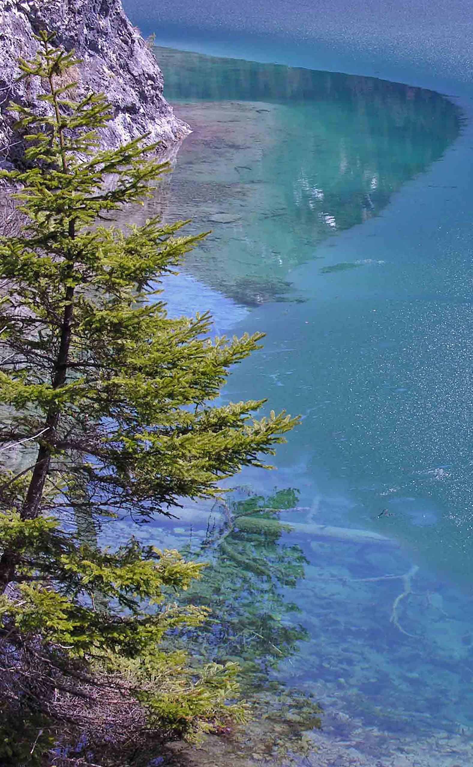 winterausklang-1577-2560